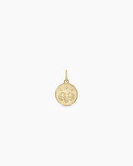 Diamond Zodiac Coin Charm