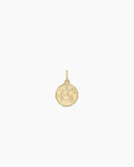 Diamond Zodiac Coin Charm