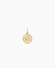 Diamond Zodiac Coin Charm