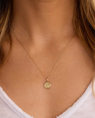 Diamond Zodiac Coin Charm Necklace