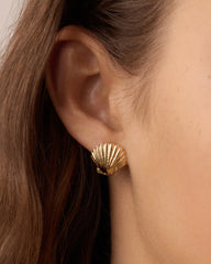 Shell Statement Studs