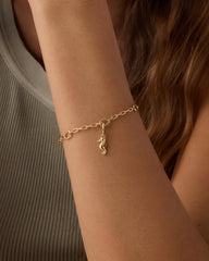 Seahorse Parker Charm