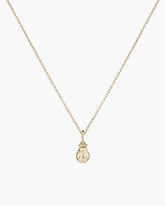 Diamond Ladybug Charm Necklace