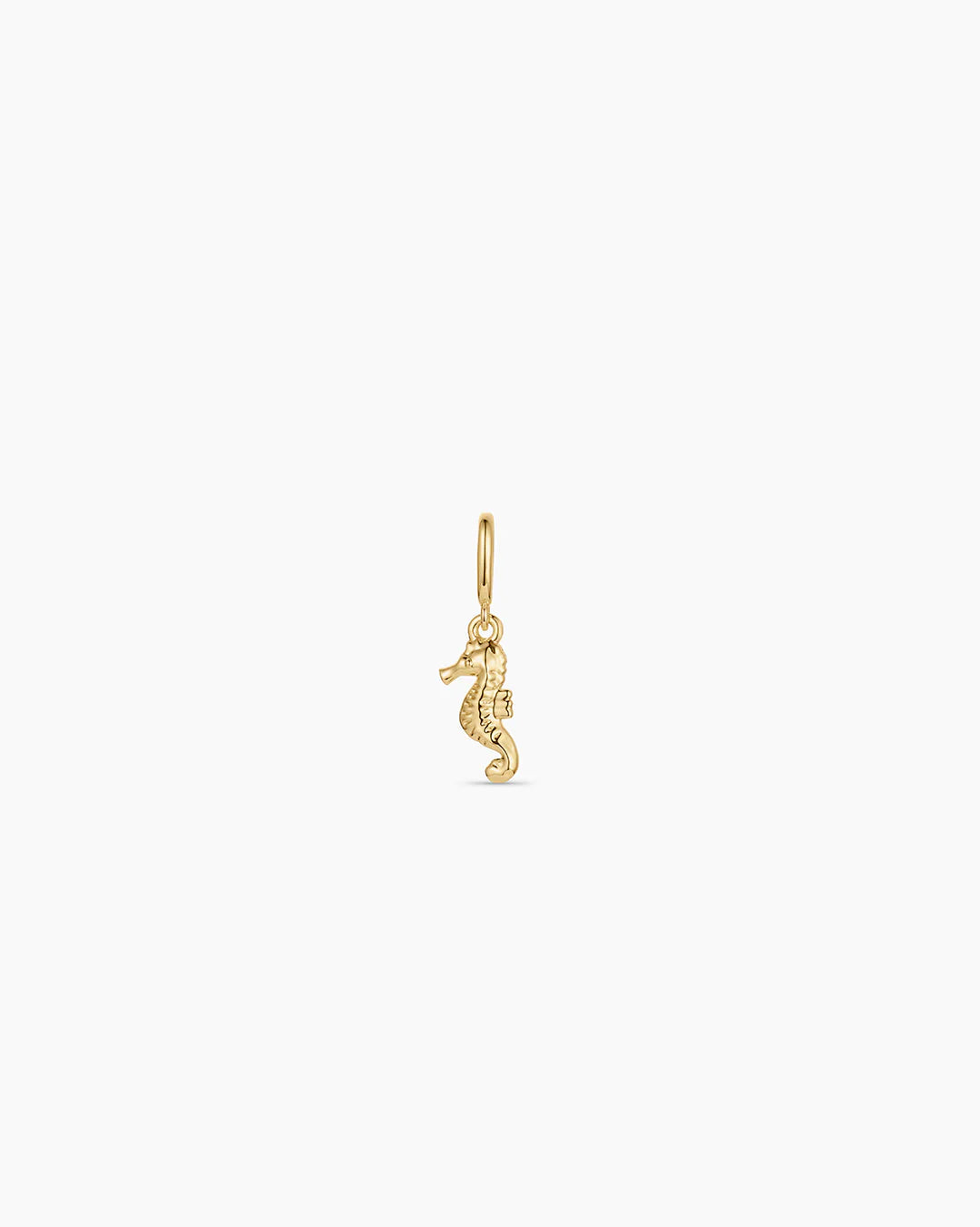 Seahorse Parker Charm